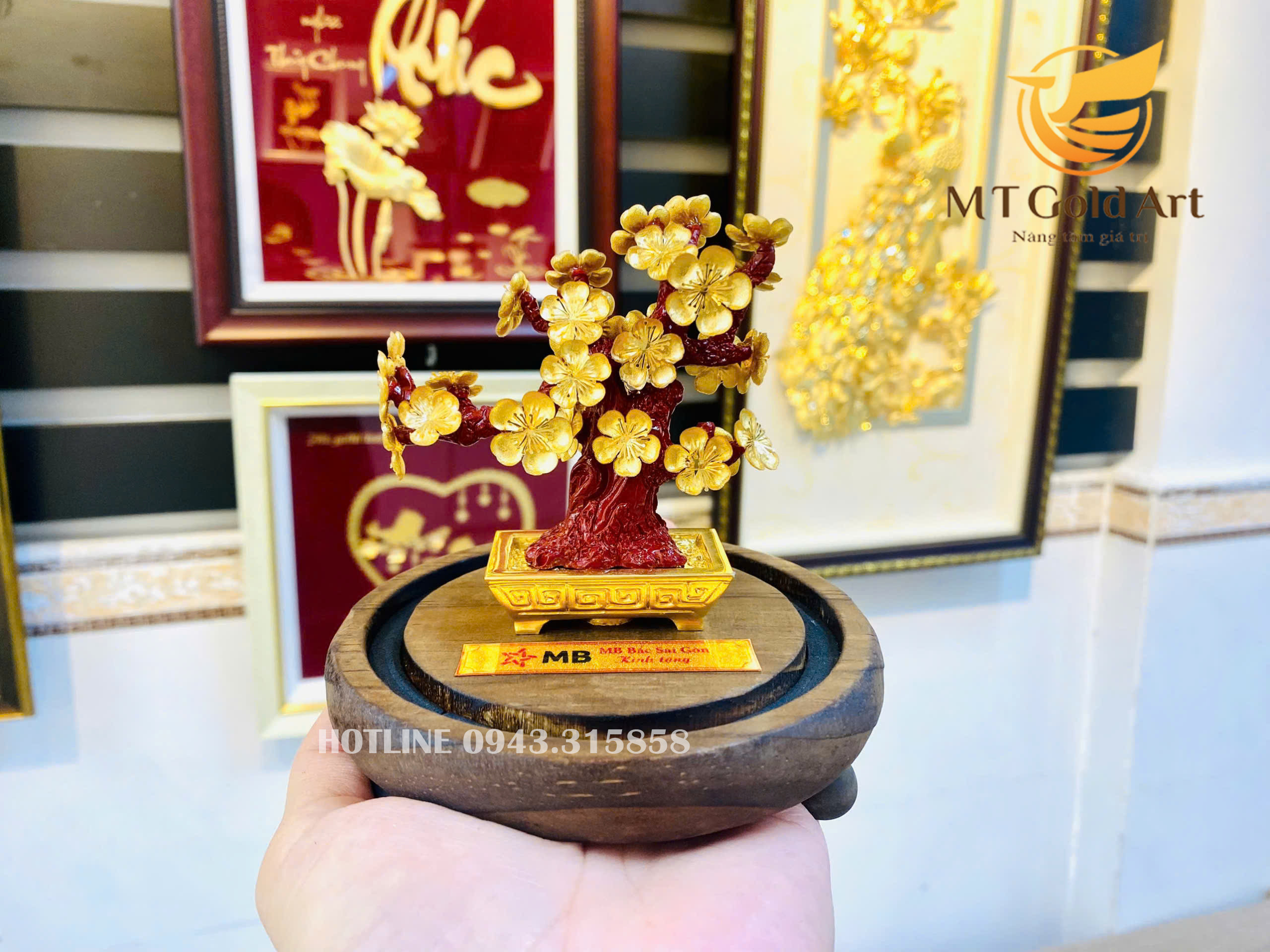 quà tặng sếp cao cấp ý nghĩa - chậu mai size S quà tặng sếp cao cấp ý nghĩa - chậu mai size S