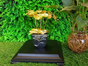 chậu hoa lan hồ điệp mạ vàng