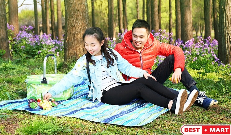 chuyến picnic