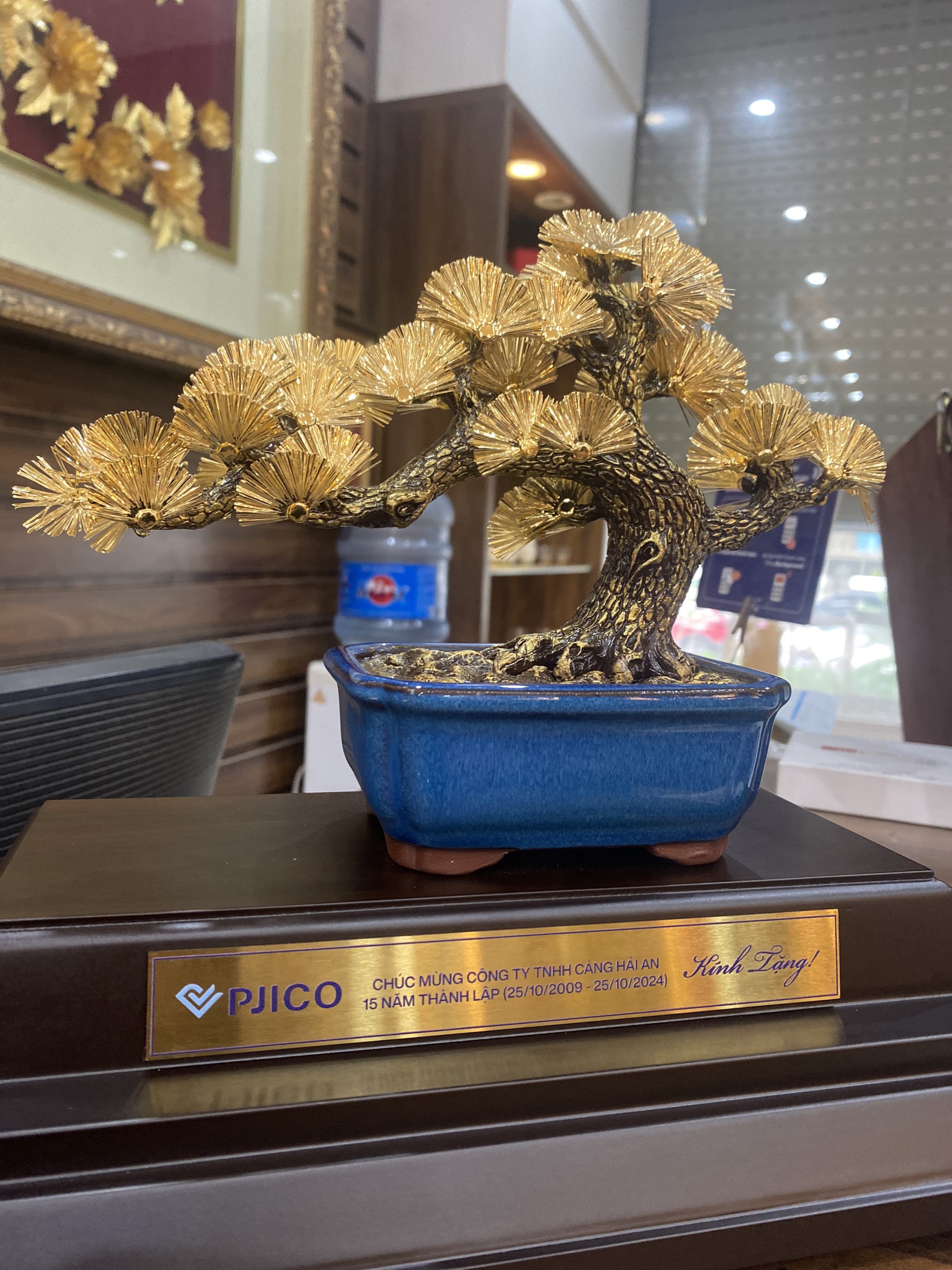 quà kỷ niệm 15 năm thành lập Hải An - chậu cây tùng la hán