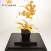 Chậu hoa lan dát vàng 24k