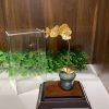 Chậu lan 1 cành dát vàng 24k