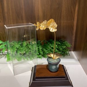 Chậu lan 1 cành dát vàng 24k