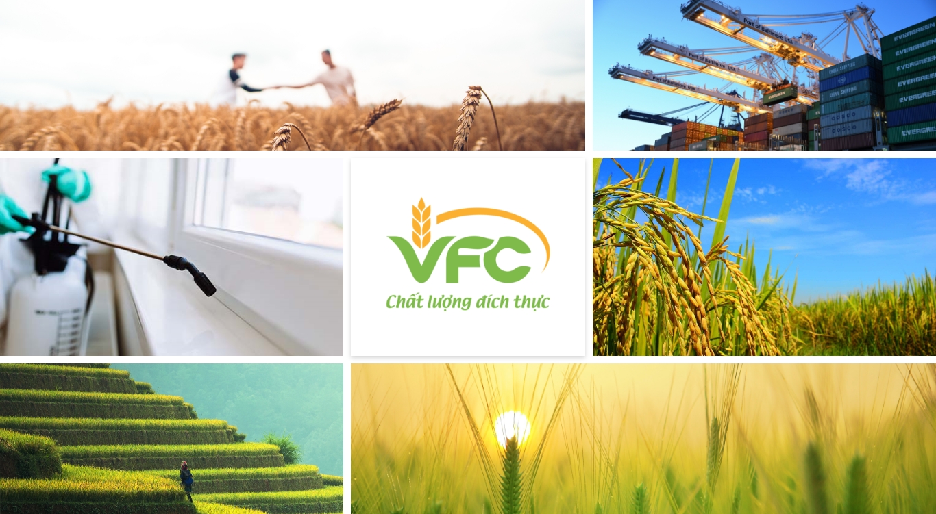 công ty vfc