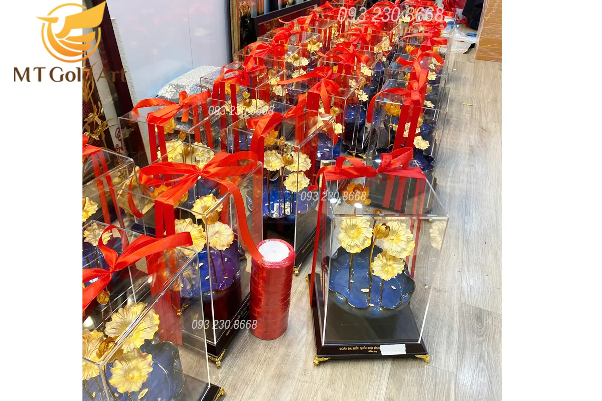 qua tang hoi nghi dai hoi